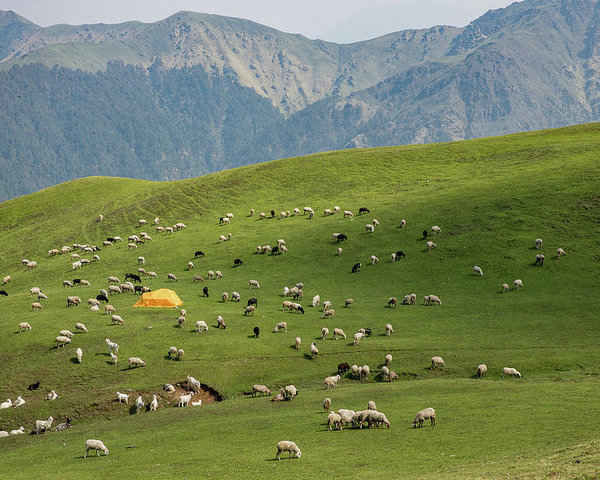 Photo of कुन्नूर, Karnataka, India by Aastha Raj