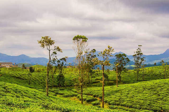 Photo of वालपराई, Tamil Nadu, India by सिद्धार्थ सोनी Siddharth Soni