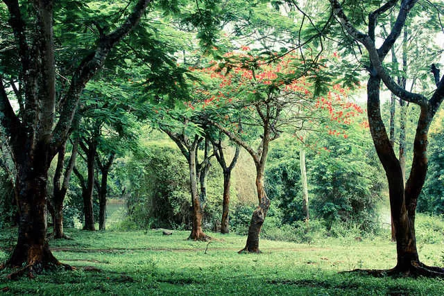 Photo of मदिकेरी, Karnataka, India by सिद्धार्थ सोनी Siddharth Soni
