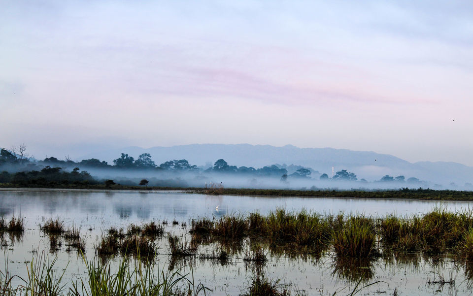 Photo of काजीरंगा राष्ट्रीय उद्यान, Kanchanjuri, Assam, India by सिद्धार्थ सोनी Siddharth Soni