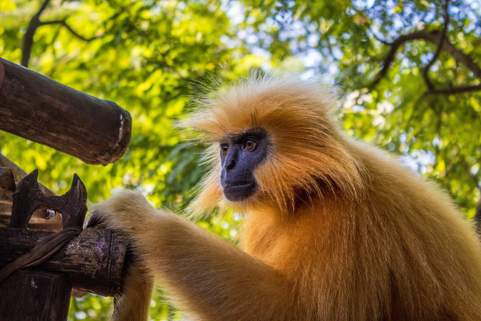 Photo of गुवाहाटी, Assam, India by सिद्धार्थ सोनी Siddharth Soni