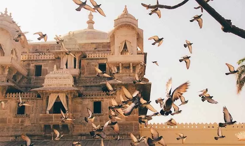 Photo of उदयपुर, Rajasthan, India by सिद्धार्थ सोनी Siddharth Soni