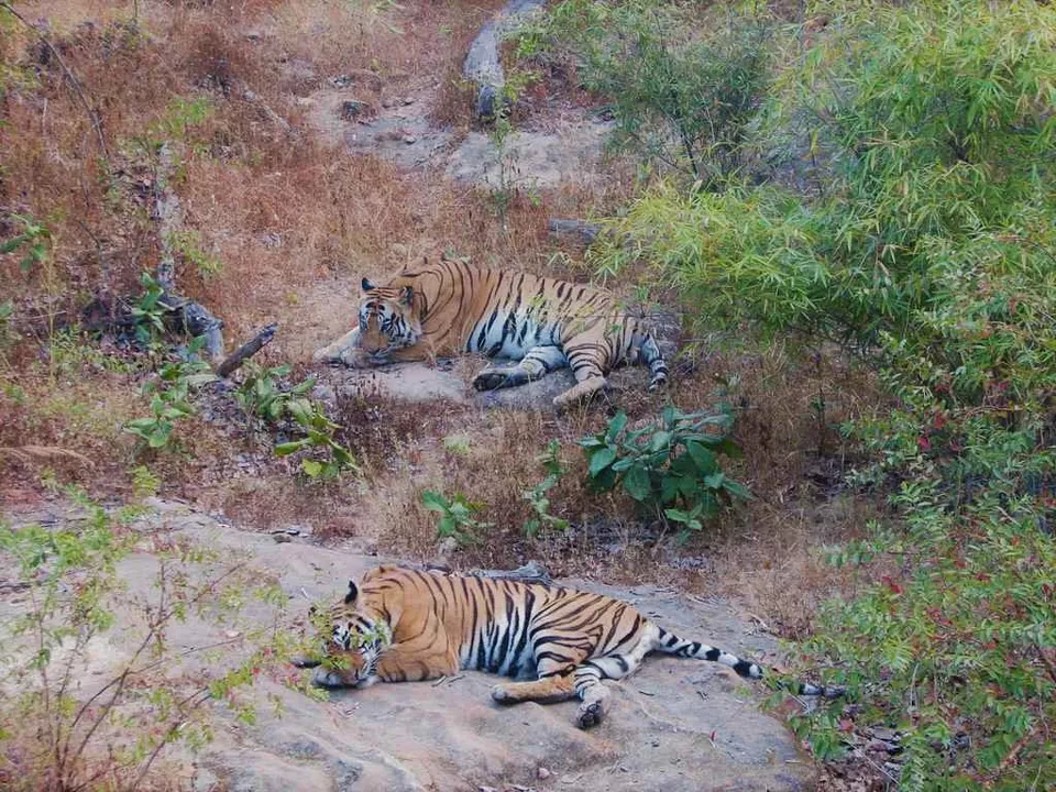 Photo of जबलपुर, Madhya Pradesh, India by Kabira Speaking
