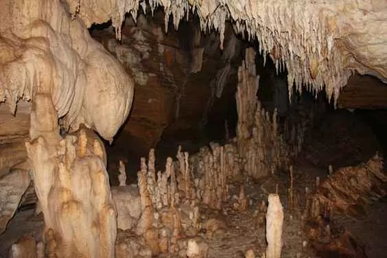 Photo of जगदलपुर, Chhattisgarh, India by Rishabh Dev