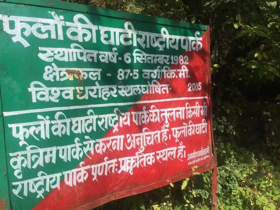 Photo of फूलों की घाटी, Uttarakhand, India by सिद्धार्थ सोनी Siddharth Soni