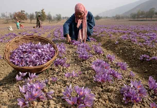 Photo of असली भारत को जानना है तो करो यहाँ के गाँव का सफर by लफंगा परिंदा