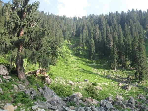 Photo of असली भारत को जानना है तो करो यहाँ के गाँव का सफर by लफंगा परिंदा