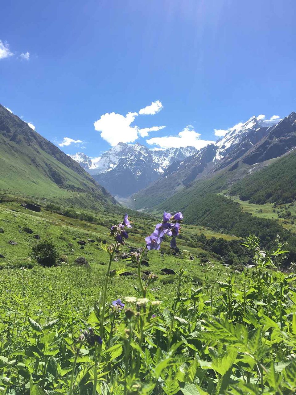 Photo of असली भारत को जानना है तो करो यहाँ के गाँव का सफर by लफंगा परिंदा
