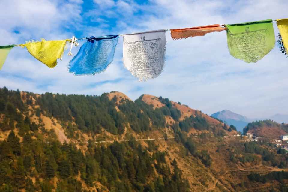 Photo of पैदल, साइकिल पर और बस में: उत्तराखंड की 6 शानदार जगहें 7 दिन में नाप डाली! by लफंगा परिंदा