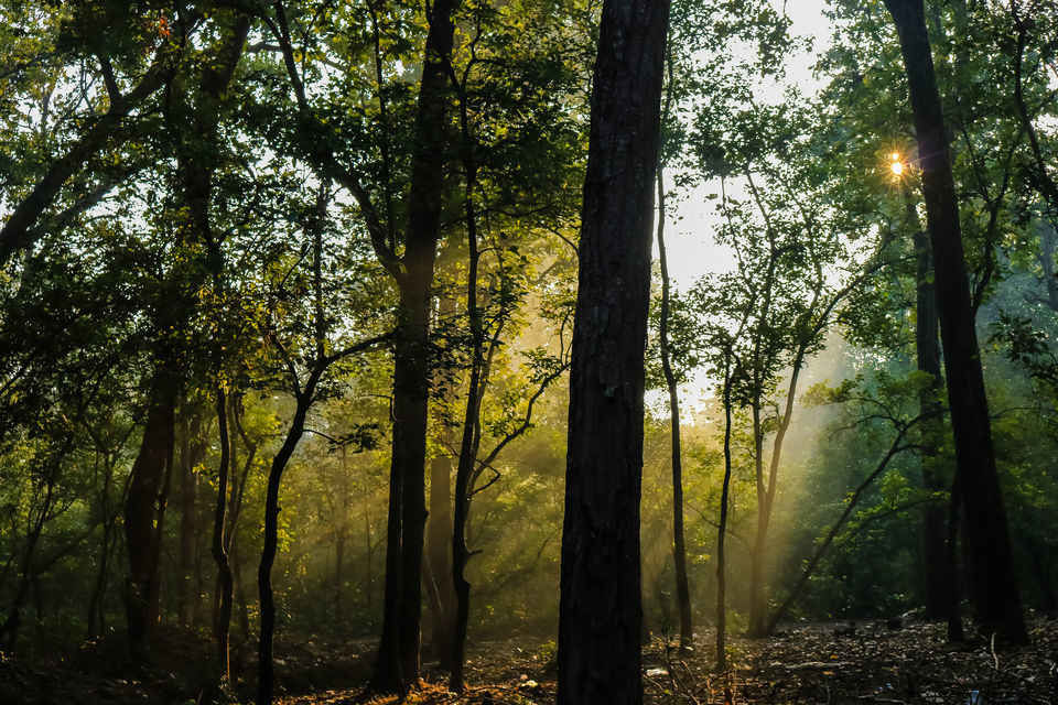 Photo of पैदल, साइकिल पर और बस में: उत्तराखंड की 6 शानदार जगहें 7 दिन में नाप डाली! by लफंगा परिंदा