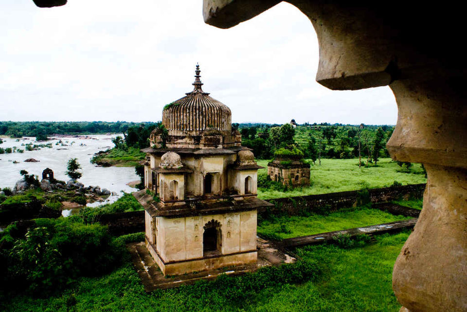 Photo of मुन्नार, Kerala, India by Prateek Dham