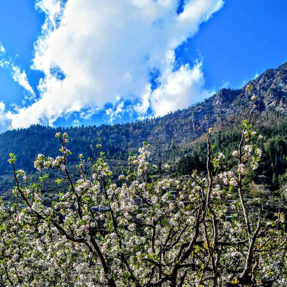 Photo of हर्षिल: हिमालय की गोद में सुकून by O Rahi Chal