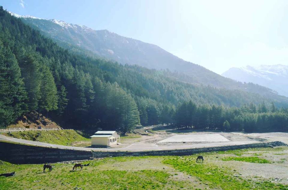 Photo of हर्षिल: हिमालय की गोद में सुकून by O Rahi Chal