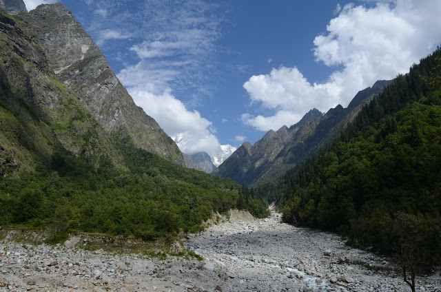 Photo of फूलों की घाटी: दूर तलक रंग बिरंगे फूल, जैसे प्रकृति ने खुद अपने हाथों से इन्हें क्यारीबद्ध किया हो by Chandra Prakash Pandey