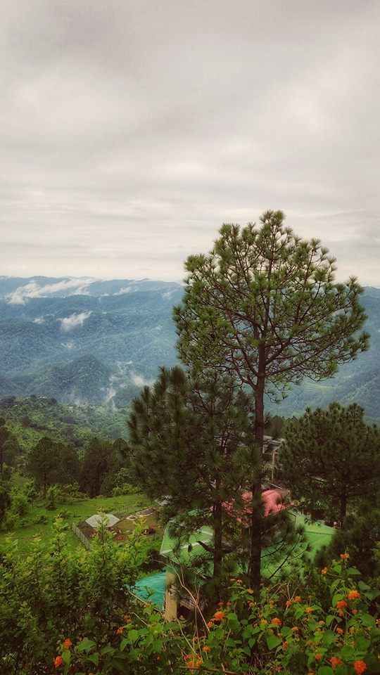 Photo of घूमने के लिए सिर्फ 2 दिन हैं? उत्तराखंड का लैंसडाउन है पर्फेक्ट डेस्टिनेशन! by Musafir Rishabh