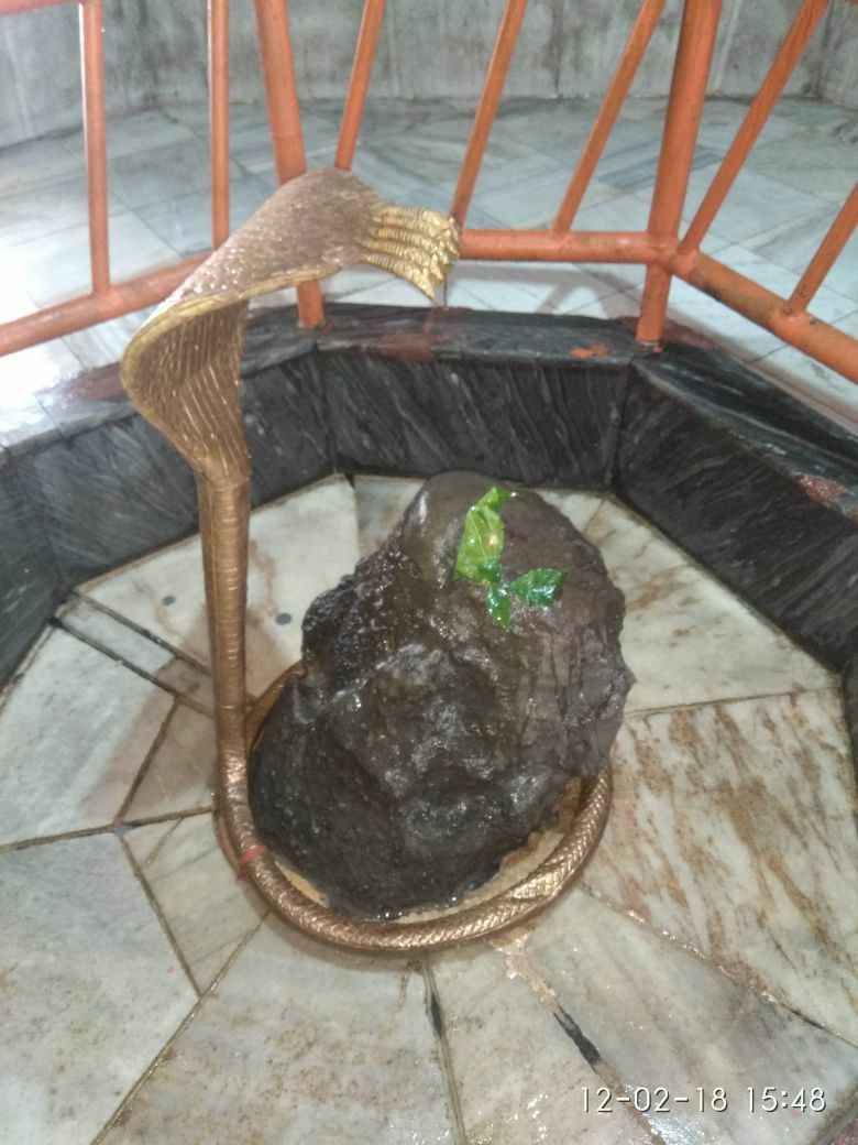 Photo of प्रकृति प्रेमियों के लिए खास है दर्जनिया ताल की सैर by Ravi Singh