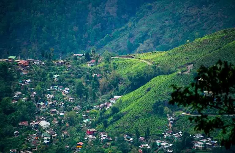 Photo of दार्जिलिंग, West Bengal, India by Rupesh Kumar Jha