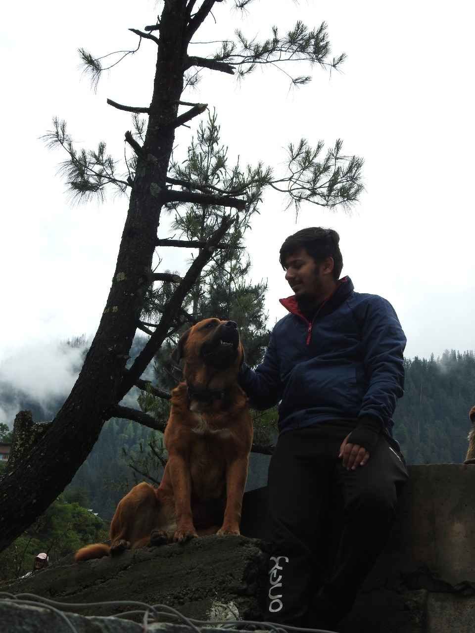Photo of खीरगंगा ट्रेक के दौरान मिला एक अनोखा दोस्त ! by Saransh Ramavat