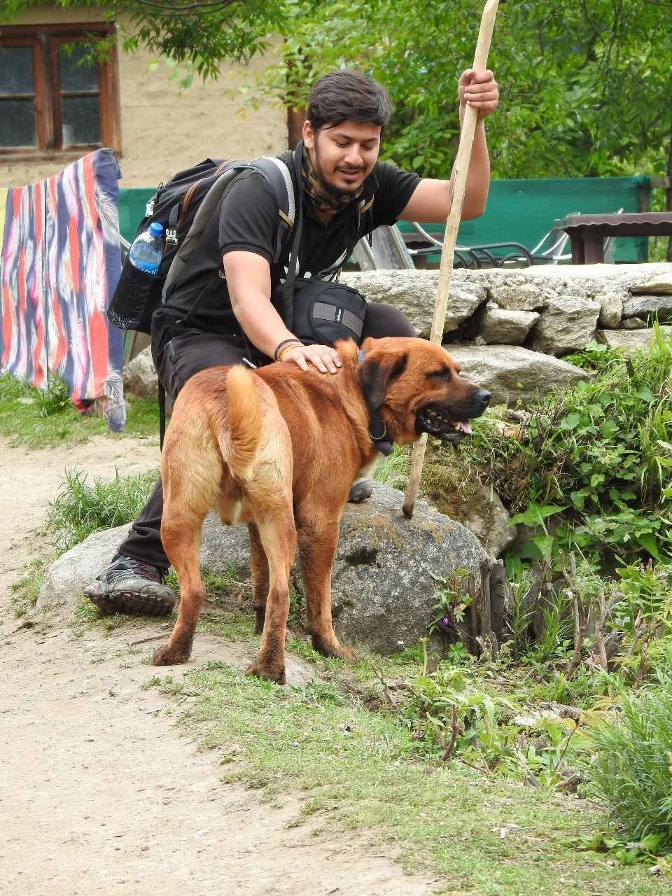 Photo of खीरगंगा ट्रेक के दौरान मिला एक अनोखा दोस्त ! by Saransh Ramavat