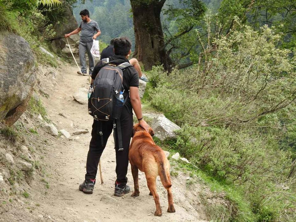 Photo of खीरगंगा ट्रेक के दौरान मिला एक अनोखा दोस्त ! by Saransh Ramavat