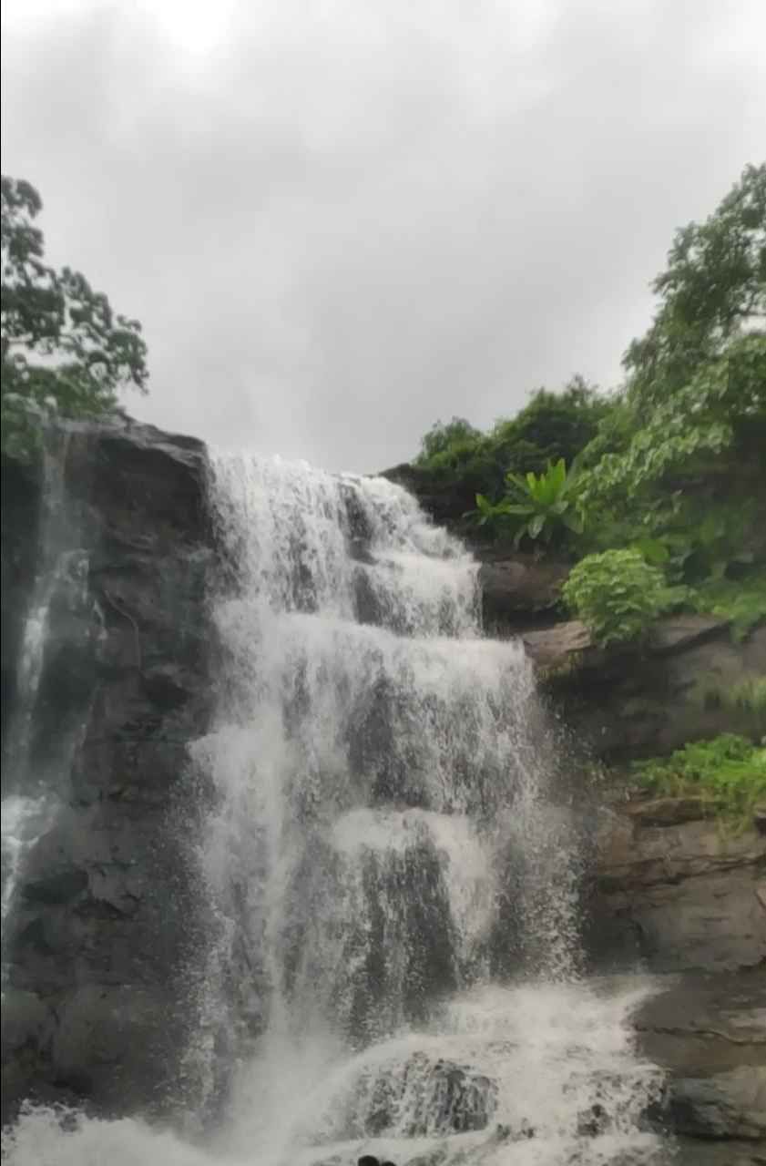 Photo of डर के आगे जीत है - मेरा पहेला waterrapplling अनुभव by Trupti Hemant Meher