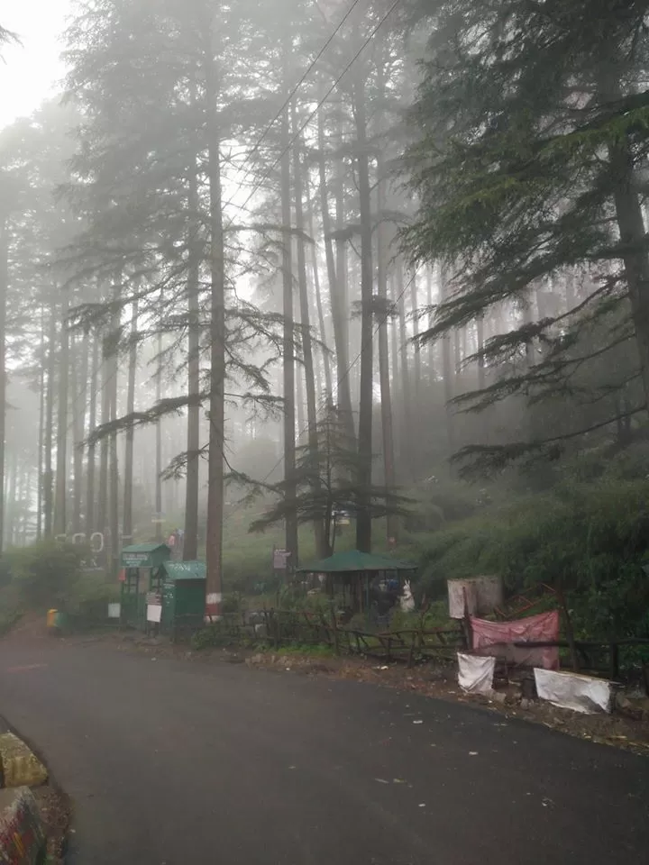 Photo of धनौल्टी, Uttarakhand, India by Swati Rathore