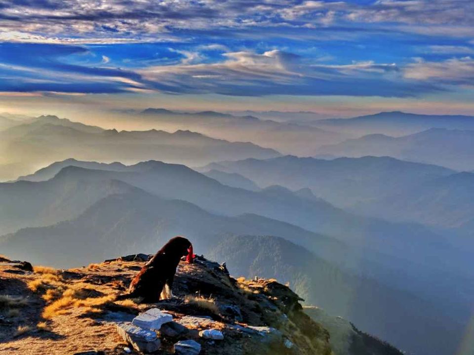 Photo of सिर्फ़ ₹2500 में किया चोपटा-तुंगनाथ-चंद्रशिला का सफर! by सिद्धार्थ सोनी Siddharth Soni