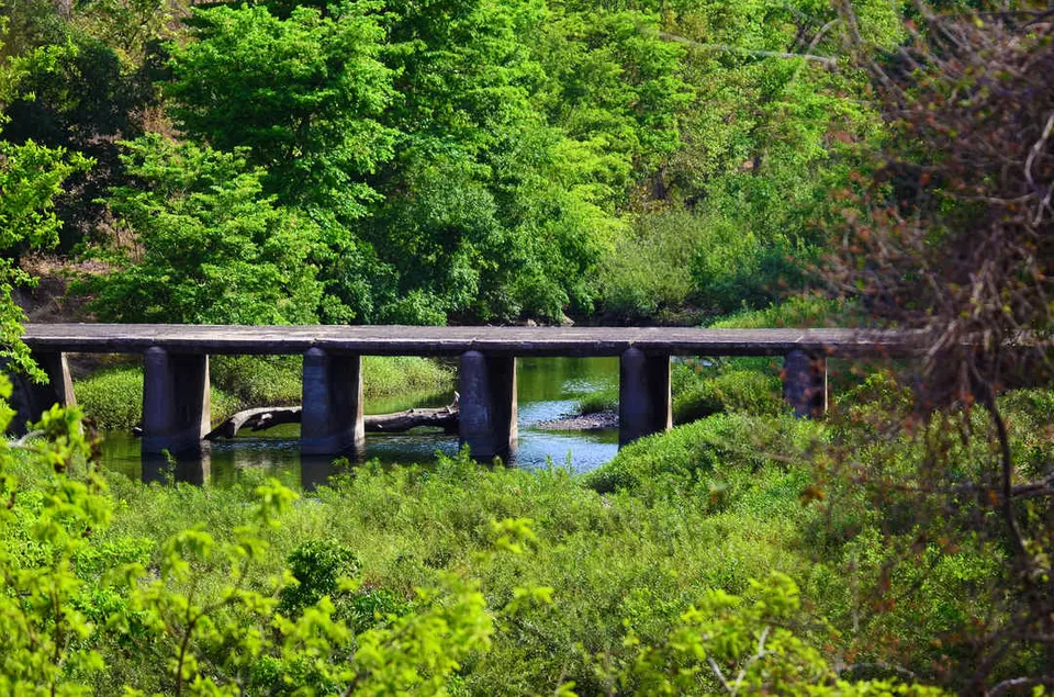 Photo of मेलघाट टाइगर रिजर्व, Amravati, Maharashtra, India by Ambuj Jain