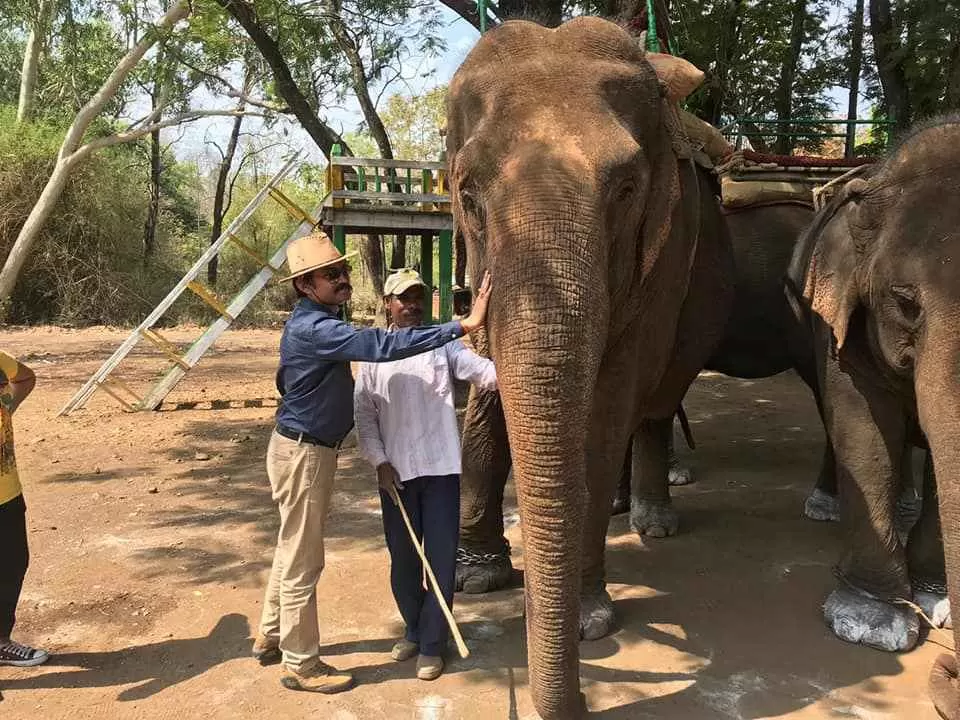 Photo of मेलघाट टाइगर रिजर्व, Amravati, Maharashtra, India by Ambuj Jain