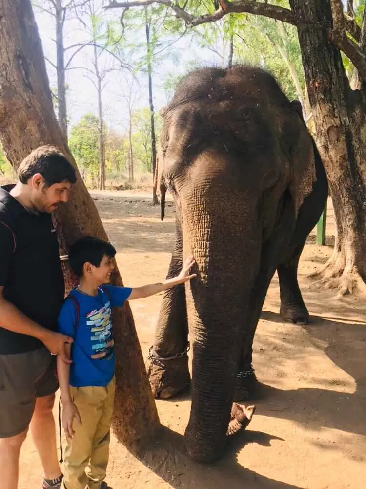 Photo of मेलघाट टाइगर रिजर्व, Amravati, Maharashtra, India by Ambuj Jain