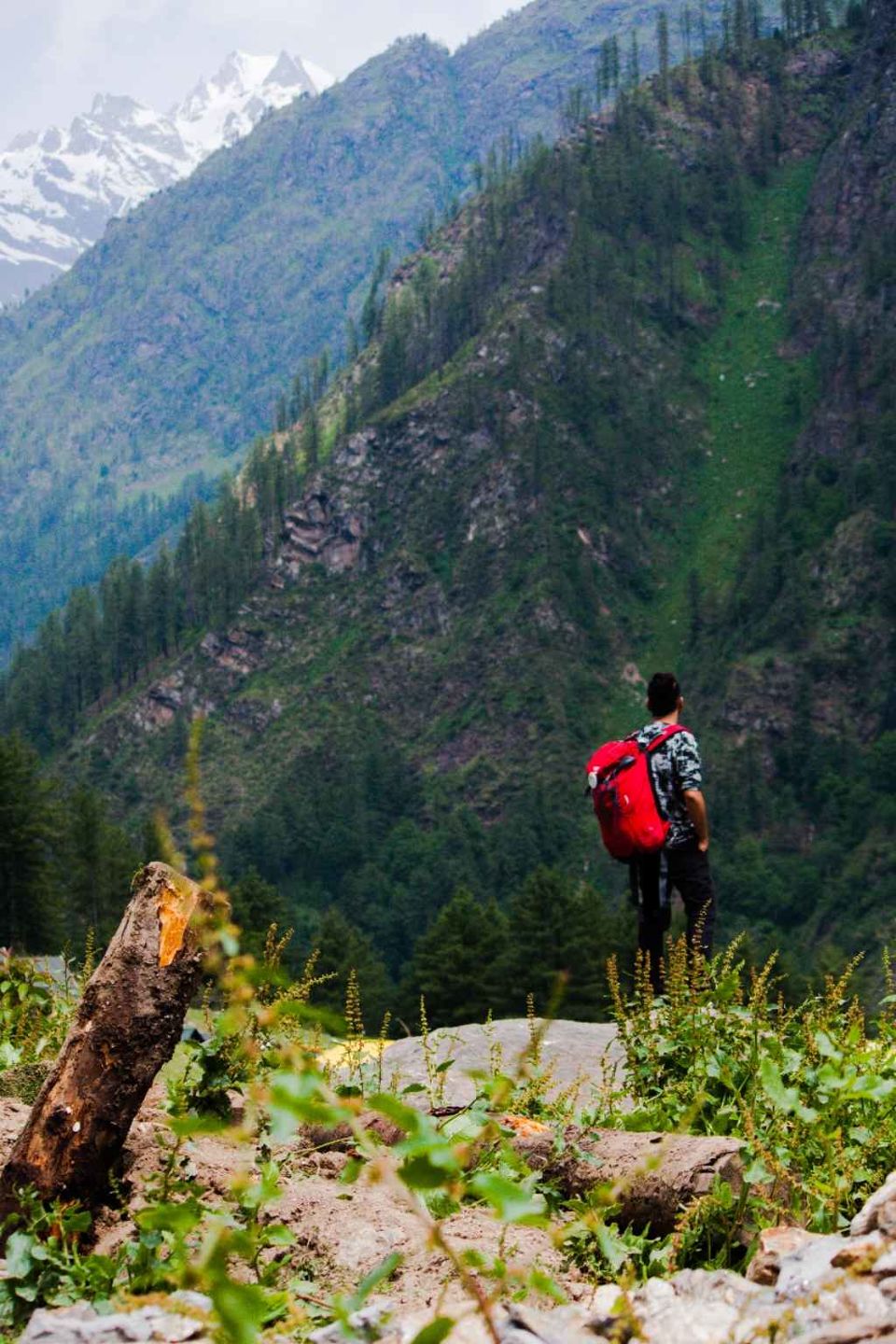 Photo of Kasol-kheerganga: मैं और शेरू। by Jeevesh Nandan