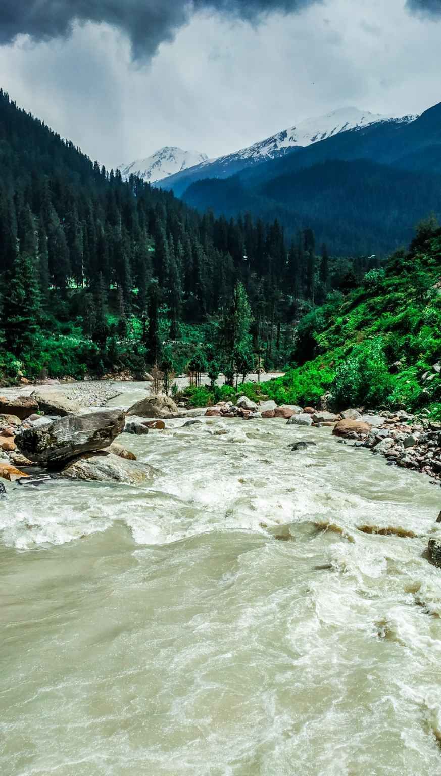Photo of Kasol-kheerganga: मैं और शेरू। by Jeevesh Nandan