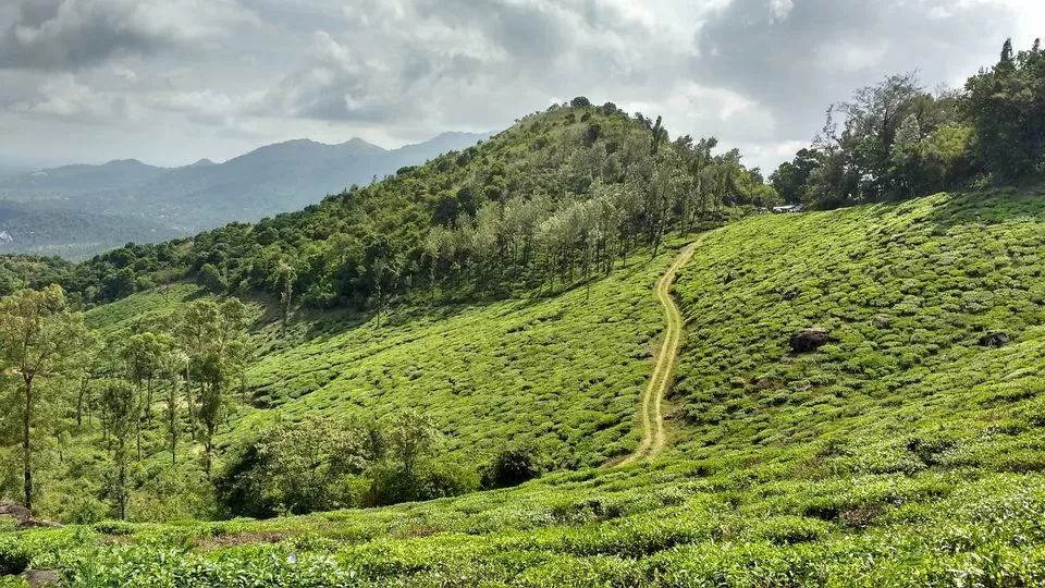Photo of वायनाड, Kerala, India by Manju Dahiya