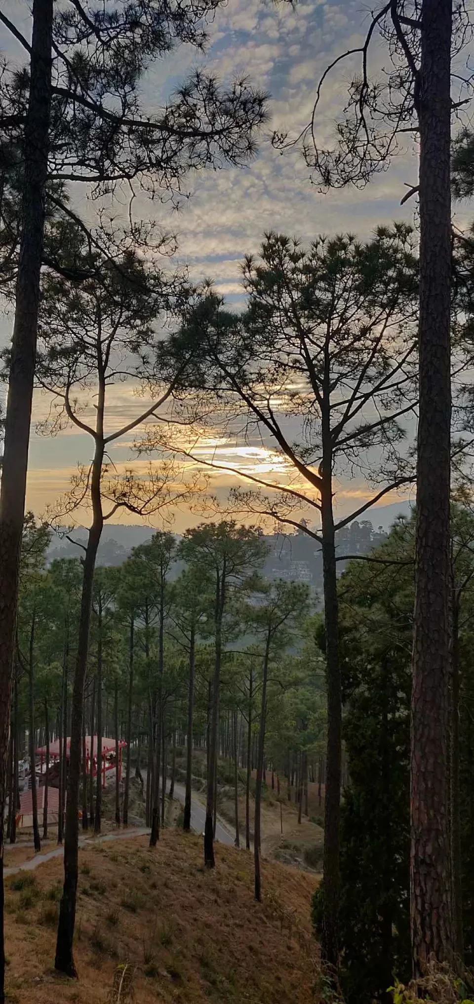 Photo of अल्मोड़ा, Uttarakhand, India by wandererdentist 