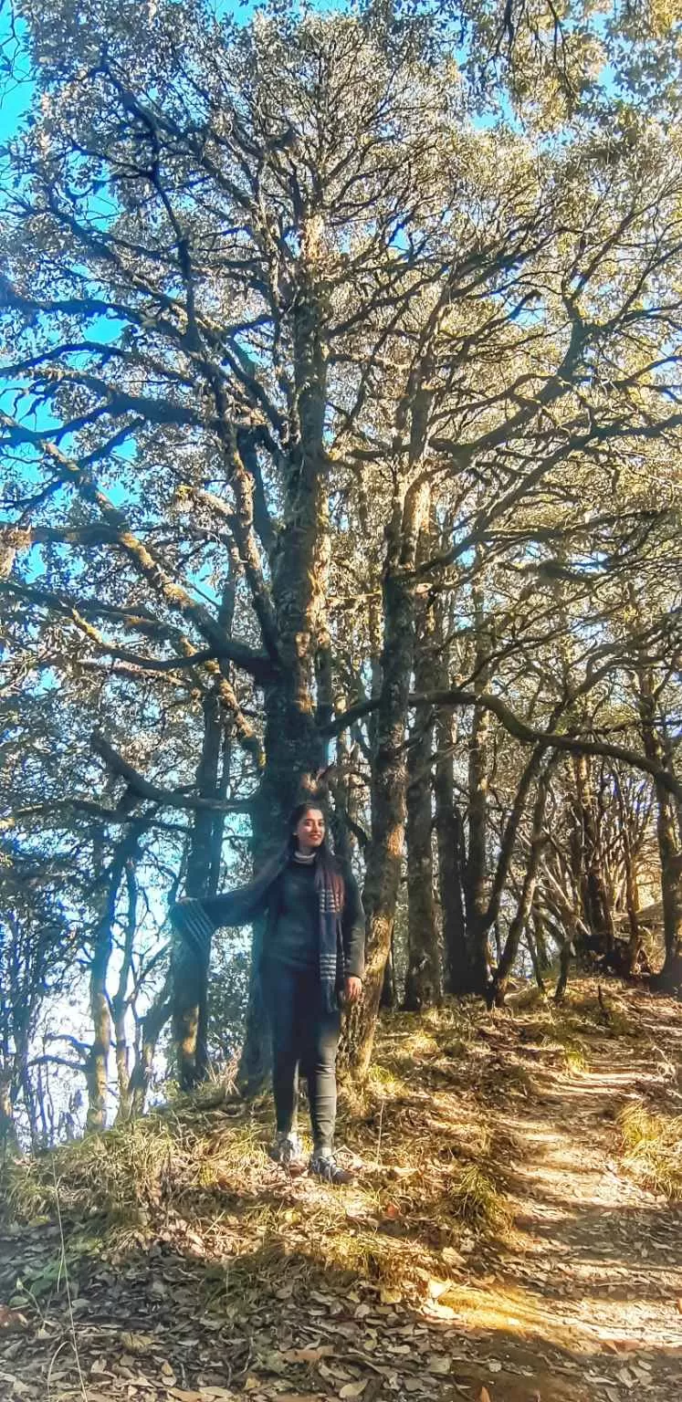 Photo of अल्मोड़ा, Uttarakhand, India by wandererdentist 