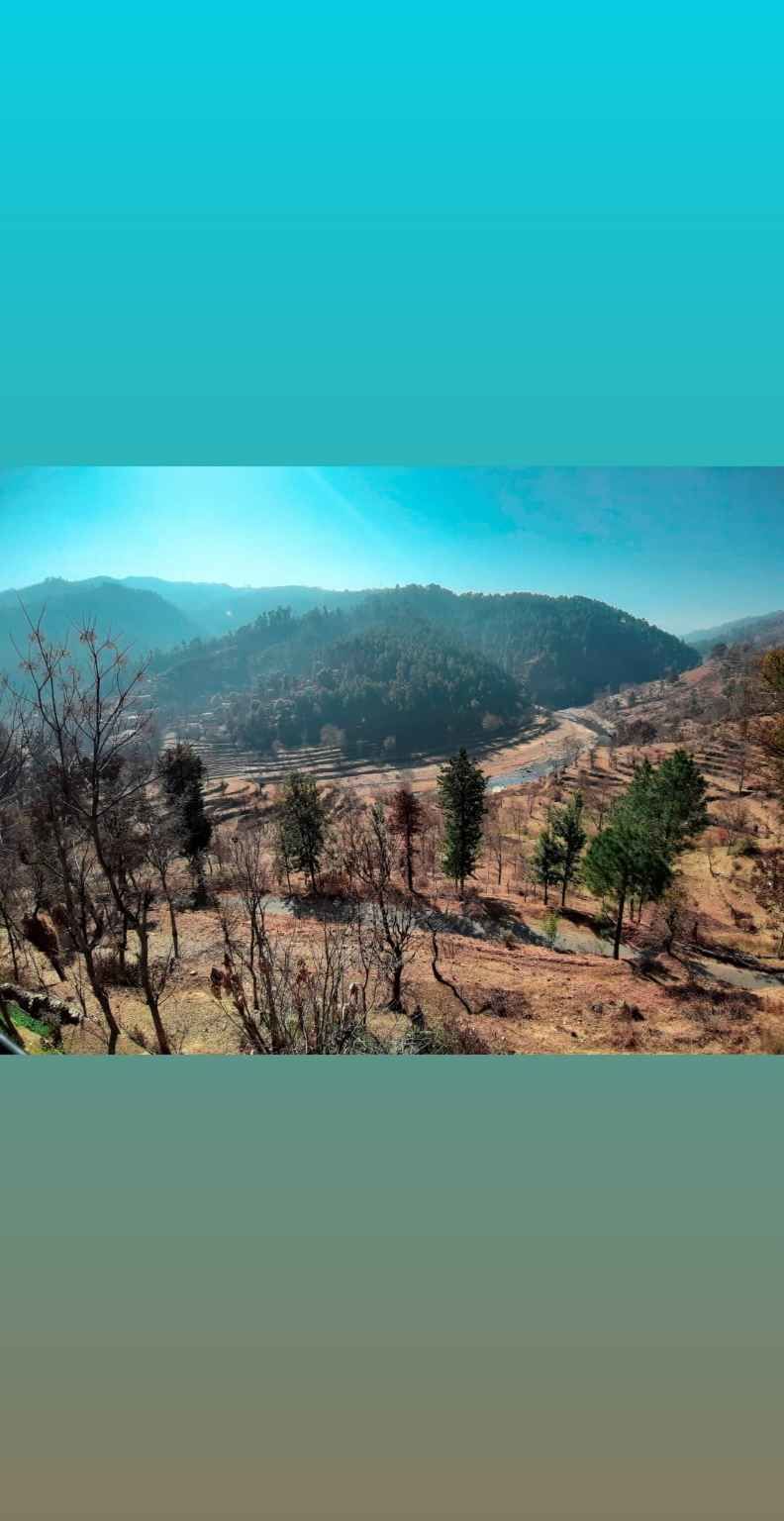Photo of उत्तराखंड का कम भीड वाला स्वर्ग :almora by Nocey