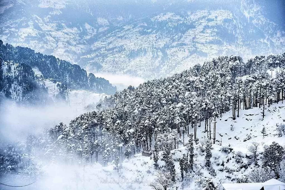 Photo of पतनितोप by Aastha Raj