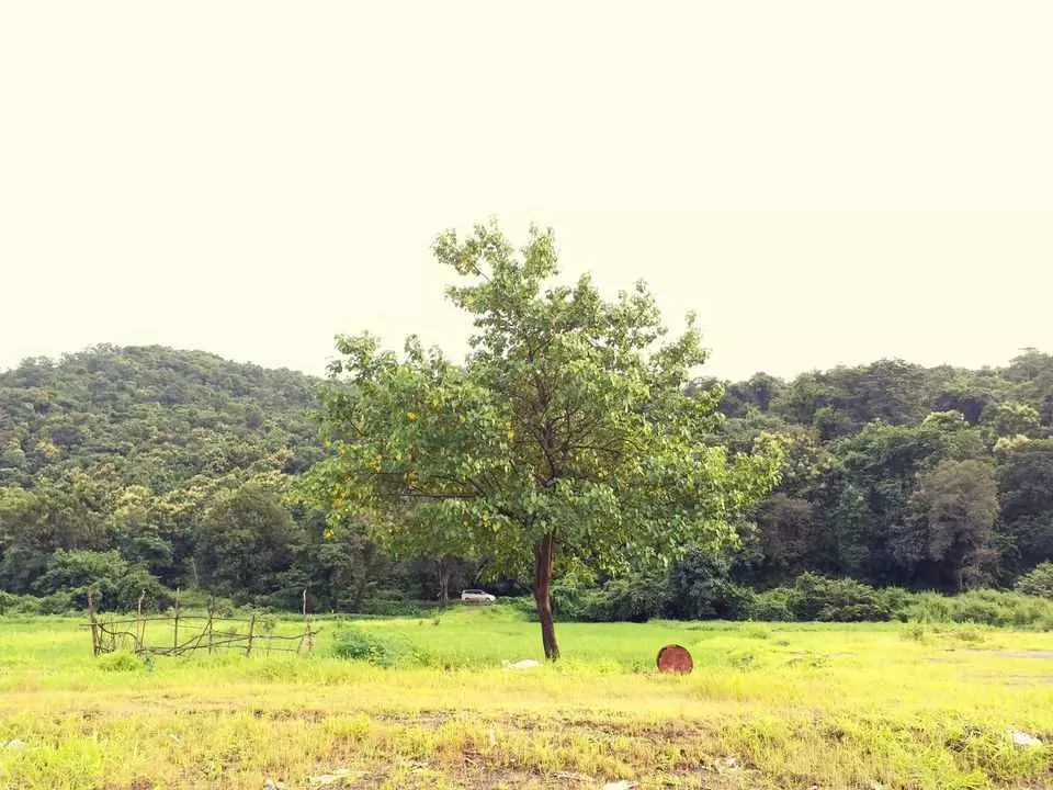 Photo of रोहा, Maharashtra, India by Rishabh Dev