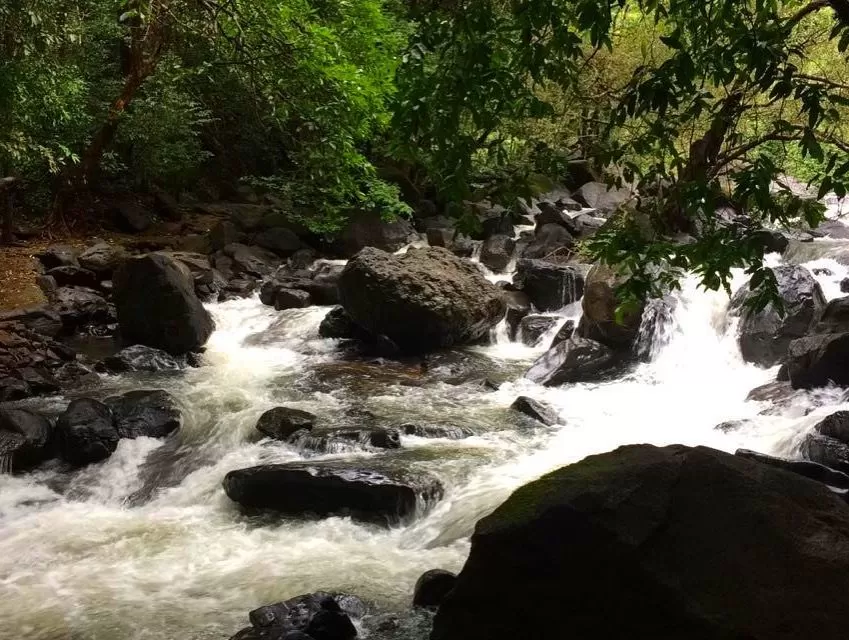 Photo of दुधसागर फॉल्स, Sonaulim, Goa, India by सिद्धार्थ सोनी Siddharth Soni