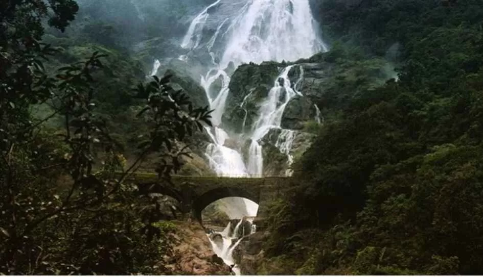 Photo of दुधसागर फॉल्स, Sonaulim, Goa, India by सिद्धार्थ सोनी Siddharth Soni