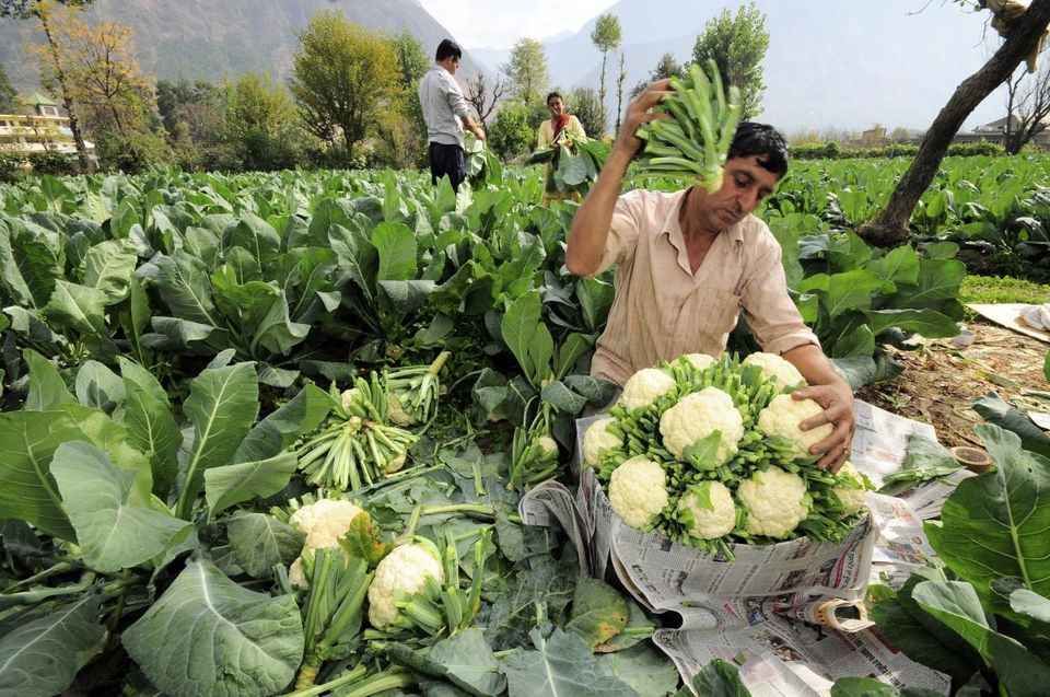 Photo of मैं शहर छोड़कर हिमाचल के गाँव में जा बसा और ये मेरी ज़िंदगी का सबसे सुंदर सफर बन गया! by सिद्धार्थ सोनी Siddharth Soni