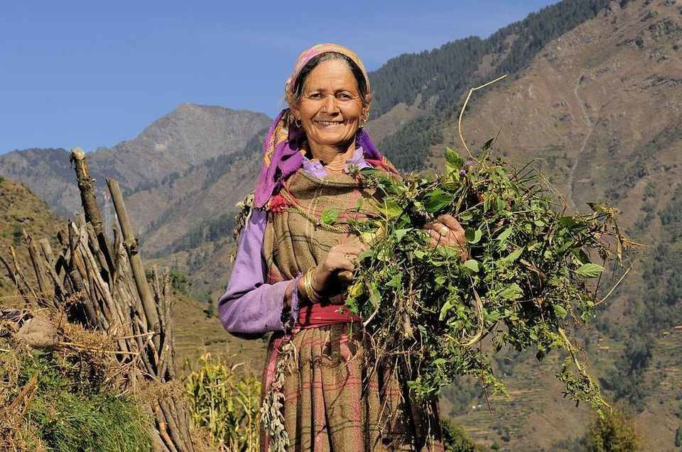 Photo of मैं शहर छोड़कर हिमाचल के गाँव में जा बसा और ये मेरी ज़िंदगी का सबसे सुंदर सफर बन गया! by सिद्धार्थ सोनी Siddharth Soni
