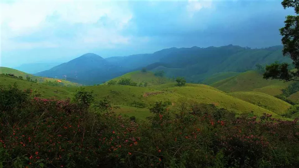 Photo of वेंगामंनिल, Kozhikode, Kerala, India by Rishabh Dev