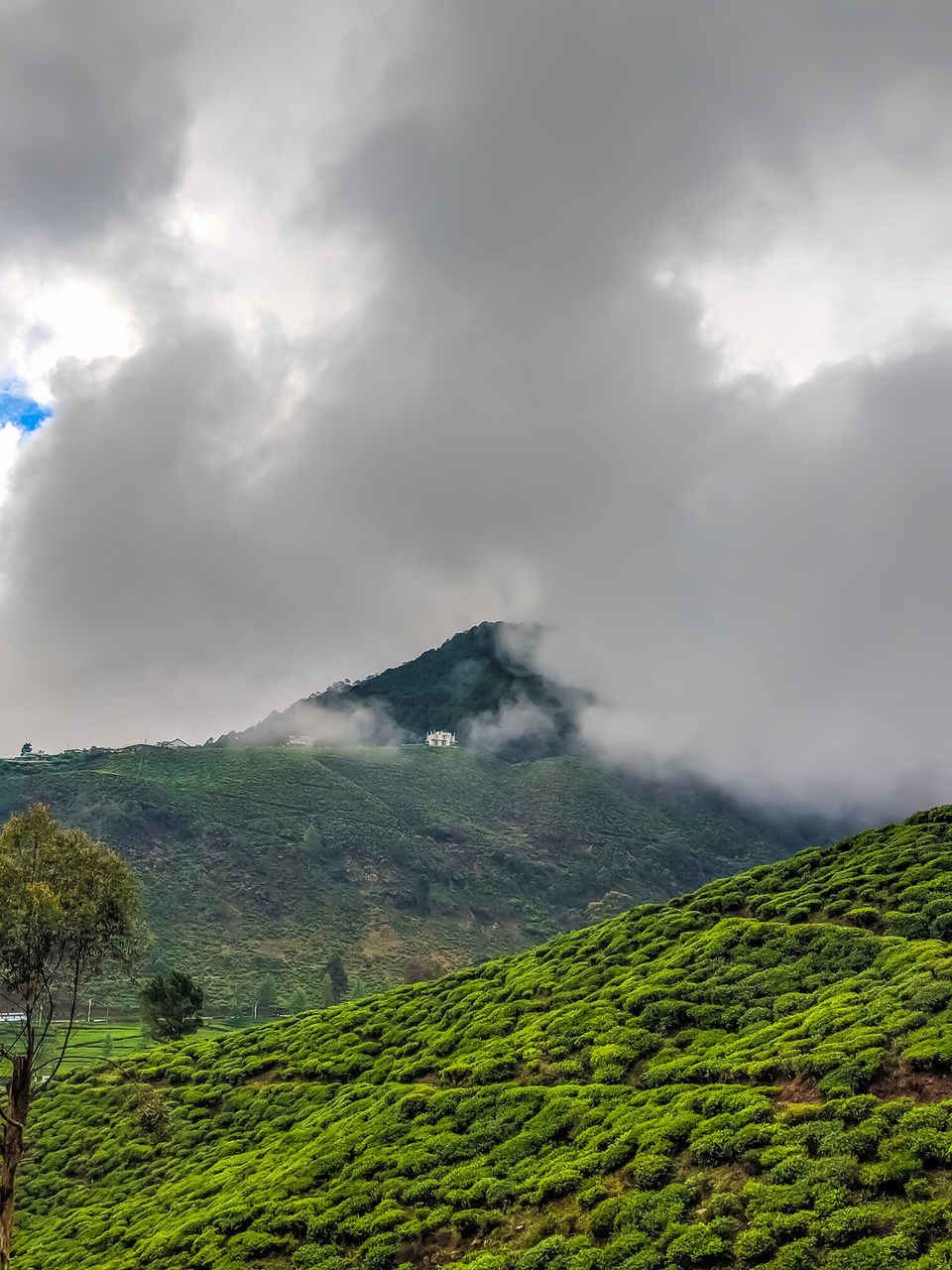 Photo of श्रीलंका की 10 दिन की बजट यात्रा, लोकल बस और ट्रेन ने बनाया सफर मज़ेदार! by Manglam Bhaarat