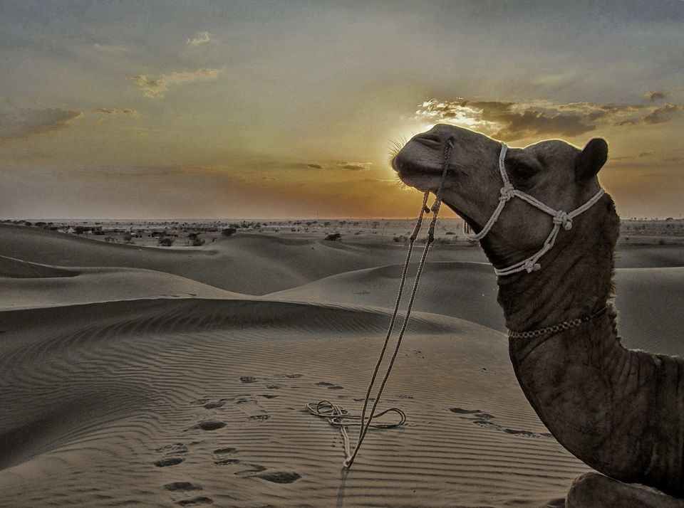 Photo of कुलधरा, Jiyai, Rajasthan, India by Tripoto