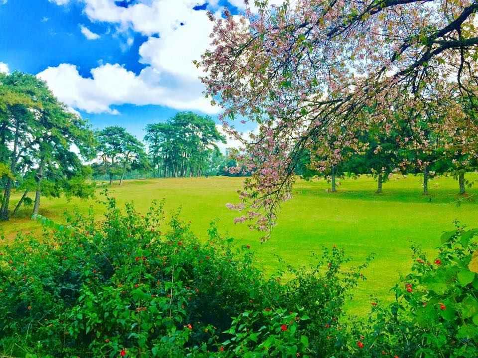 Photo of शिलांग ट्रैवल गाईड: बादलों के इस शहर की यात्रा का पूरा प्रोग्राम by Rupesh Kumar Jha
