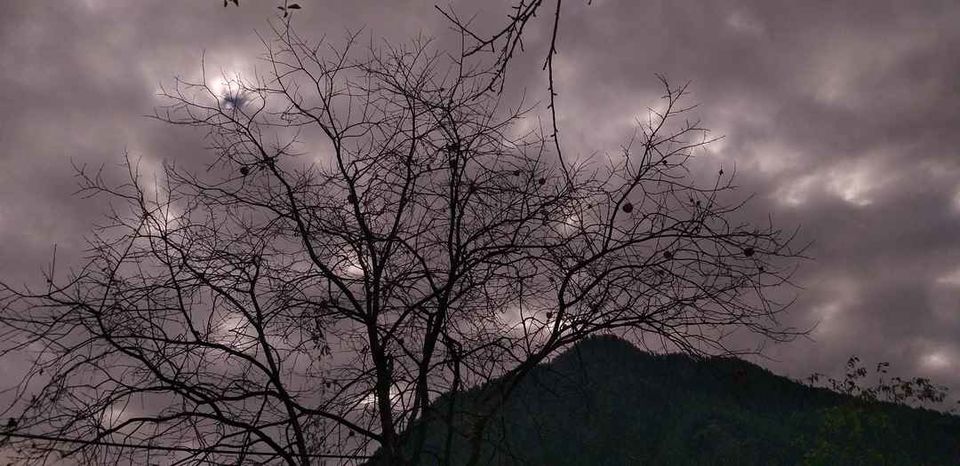 Photo of Stay High In Himalaya! कसोल से रसोल तक by Aditya Narayan