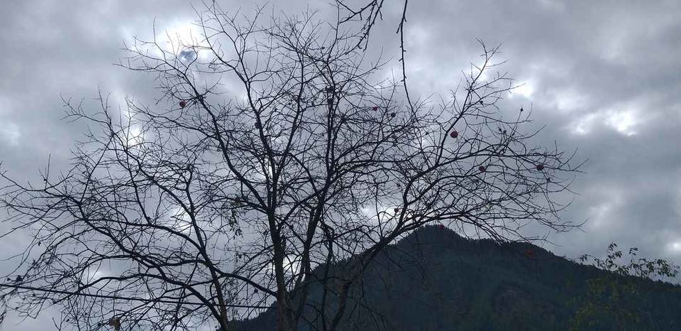Photo of Stay High In Himalaya! कसोल से रसोल तक by Aditya Narayan