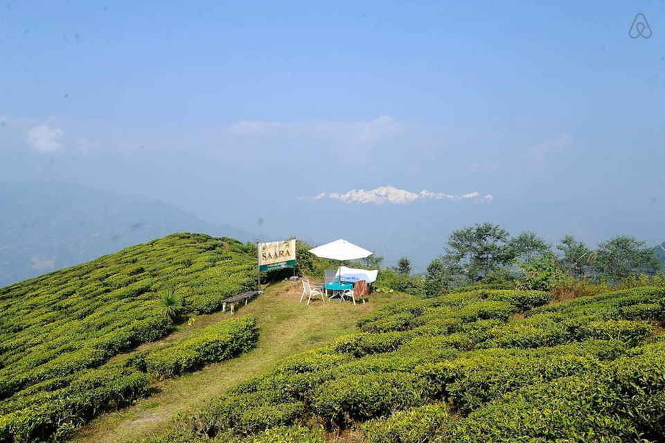 Photo of दार्जिलिंग: चाय के बागान, टॉय ट्रेन और प्राकृतिक खूबसूरती के बीच बिताएँ वक्त by सिद्धार्थ सोनी Siddharth Soni