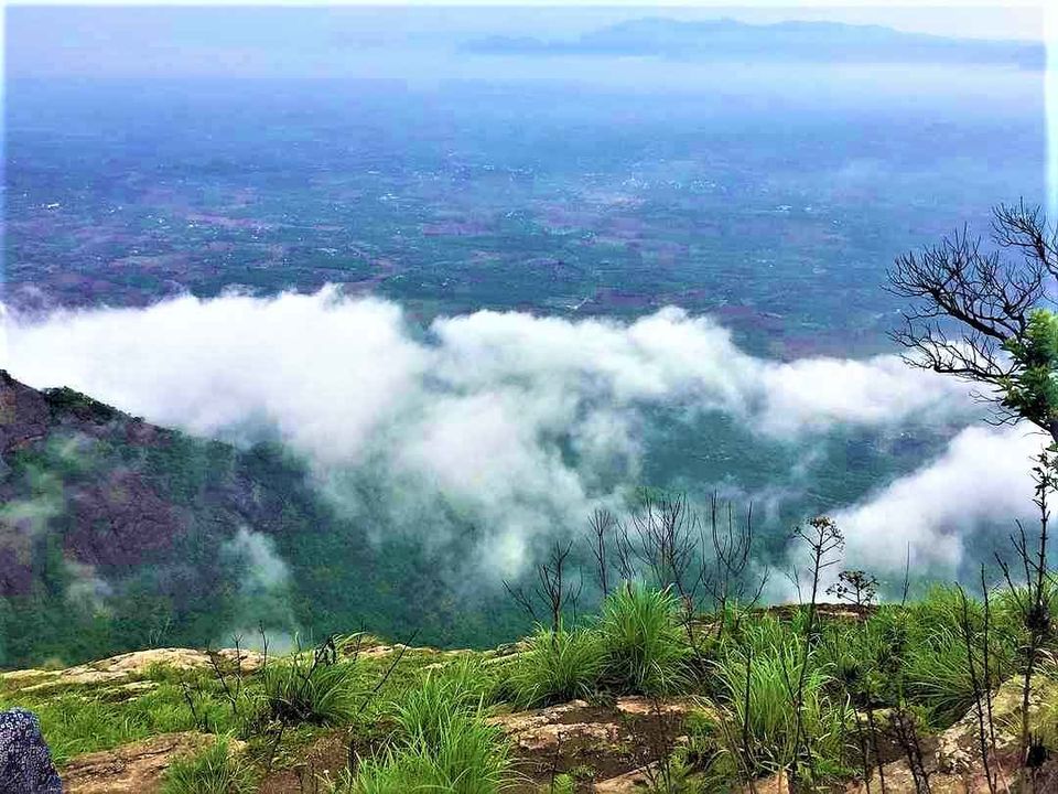 Photo of सारे हिल स्टेशन देख लिए तो अब रुख करो नेल्लियाम्पथी का! by Manglam Bhaarat